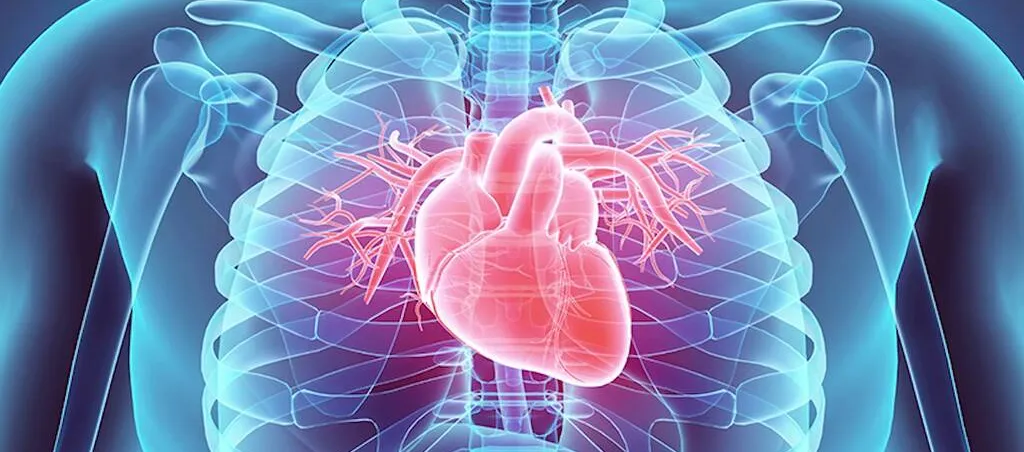 Cardiomyopathy: A Closer Look at the Disease