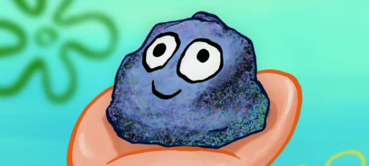 My Pet Rock and Other Fictions